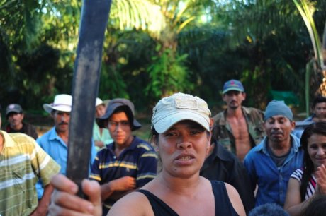 Février 2010, Vallée de l’Aguan (côte Est du Honduras) : des paysans occupent des terres - JPG - 86.1 ko