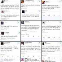 En vrac, réactions de musulmans sur Twitter