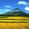 mayon.jpg